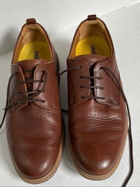 Amberjack The Original Oxfords